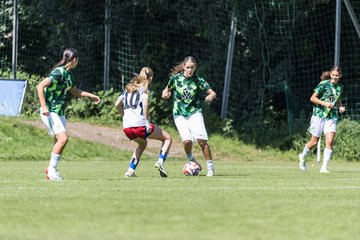 Bild 118 - wBJ Hamburger SV - VfL Wolfsburg : Ergebnis: 5:1